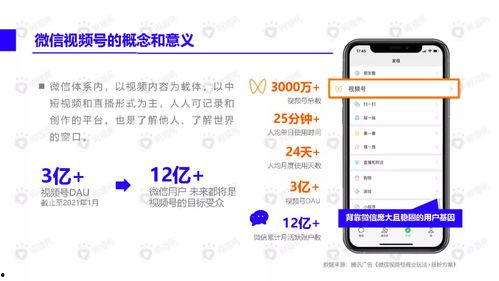 聚龙老师爆料视频下载,深度解析事件背后真相 第3张 聚龙老师爆料视频下载,深度解析事件背后真相 第3张