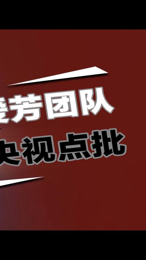 墙布大爆料视频,揭秘墙布行业那些不为人知的秘密 第3张 墙布大爆料视频,揭秘墙布行业那些不为人知的秘密 第3张